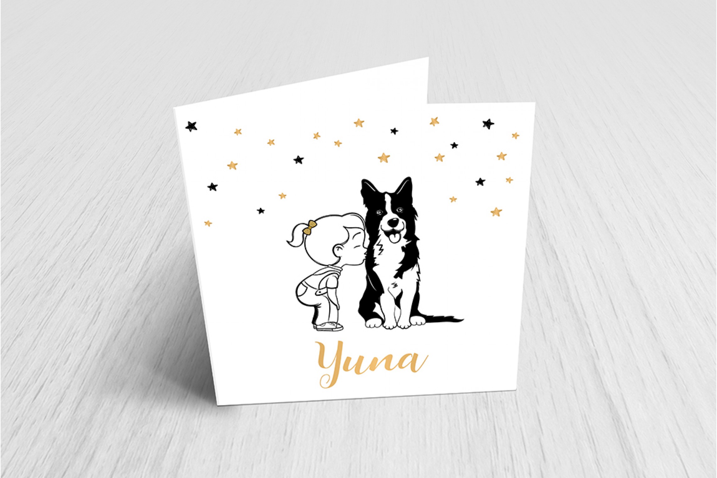 Meisje met Border Collie